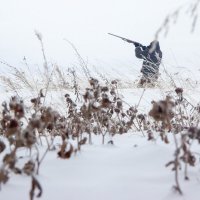 Охота на фоне зимнего пейзажа. :: Андрей Ионов