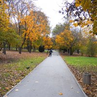 Осень в Гагаринском парке :: Валентин Семчишин