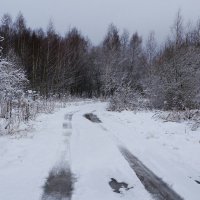 Зимний пейзаж. :: Милешкин Владимир Алексеевич 