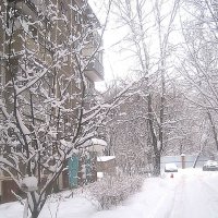Зимним днем :: Елена Семигина