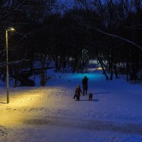 Прогулки в Вечернем Парке :: юрий поляков
