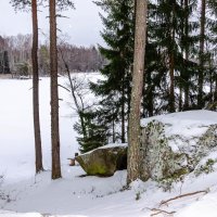 В зимнем лесу :: Ирина Смирнова