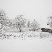 Первый снег ! :: Ион Круглик