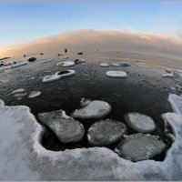 Особенности оледенения Финского залива :: Николай Кувшинов