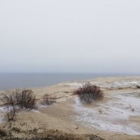 Куршский залив с высоты Мыса Эфа :: Юлия 