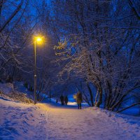 Зимний Вечер в Парке :: юрий поляков