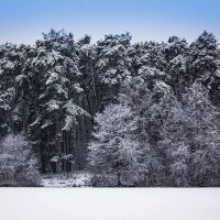 На берегу :: Александр 