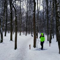 На лыжах можно и не бежать :: Андрей Лукьянов
