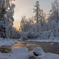 Природный заказник «Линдуловская роща» :: skijumper Иванов