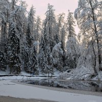 «Линдуловская роща» :: skijumper Иванов