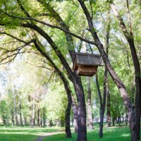 Птичий домик в парке. :: Михаил Соколов