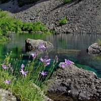 ГОРНЫЕ ПРОГУЛКИ. :: Виктор Осипчук