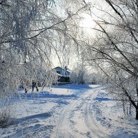 зима :: Владимир Холодницкий