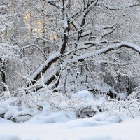 Зима в Аксаково... :: Наташа *****