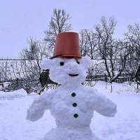Вот такой снеговик :: Людмила Смородинская