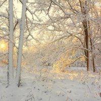 Утра свет. :: Евгений Воропинов