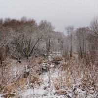 Лесной ручей. :: Милешкин Владимир Алексеевич 