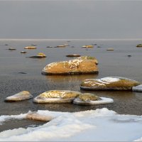 Пейзаж с лебедем :: Николай Кувшинов