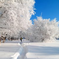 Снега январские... :: Андрей Заломленков