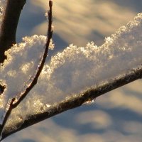 Зимний этюд со снегом и солнцем. :: Ольга Елисеева
