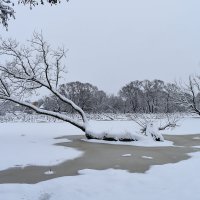 Зима :: Надежда Буранова 