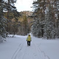 В Каркаралинском лесу...снег скрипит...Поход спортивный. :: Андрей Хлопонин