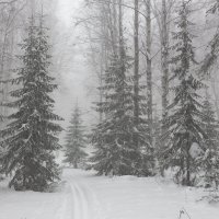 Согласно прогнозу последних известий, Неделю нам жить, во снегах утопая. :: Евгений Тарасов 