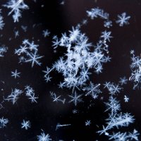 Снежинки в моем окне :: Ineta Osipoviča
