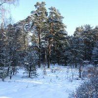 Зимний пейзаж. :: Милешкин Владимир Алексеевич 