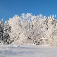 Про крещенские морозы... :: Андрей Заломленков