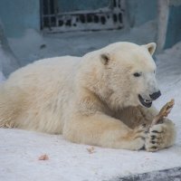 Алло! Можно Сергея! :: аркадий 