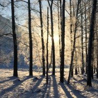 Зимнее утро на Катуни :: Эдуард Алмадаков