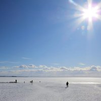 Финский залив :: Вера Щукина