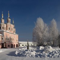Врата Свенского монастыря в зимний день :: Евгений 