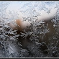Рисует узоры мороз на оконном стекле. :: Татьяна Беляева