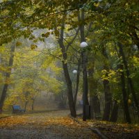 Время листопада...... :: Юрий Цыплятников