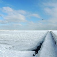 Одесса. Море замерзло. 31.01.2014 :: Юрий Тихонов