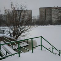 ЧБ часть зимы :: Андрей Лукьянов