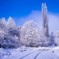 Нежданный снег :: Любовь Зайцева
