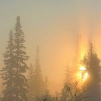 Солнышко восходит в тумане :: Сергей Чиняев 