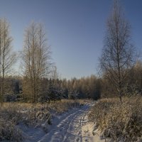 Зимний пейзаж :: Сергей Цветков