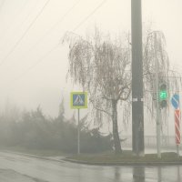 В тумане :: Константин Бобинский