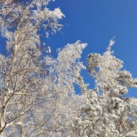 24.01.21 Мороз и сллнце в Братске :: Людмила Ковалева