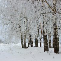 Зима :: Сергей 