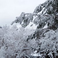 Стокгольмский снегопад :: wea *