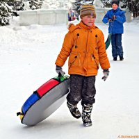 Зимние забавы продолжаются! :: Андрей Заломленков