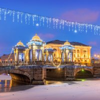 Новогодний Ломоносовский мост :: Юлия Батурина