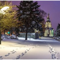 Снежным утром января :: Denis Aksenov