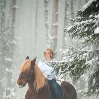 В туманном лесу верхом на коне :: Ольга Семина