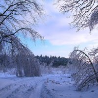 После ледяного дождя :: Людмила Смородинская
